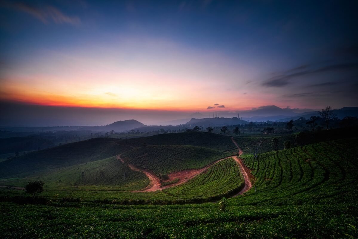 ekspedisi jakarta subang