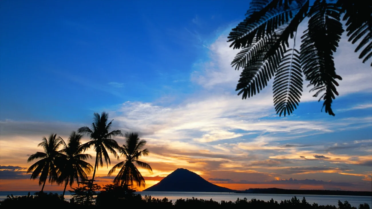 ekspedisi jakarta manado