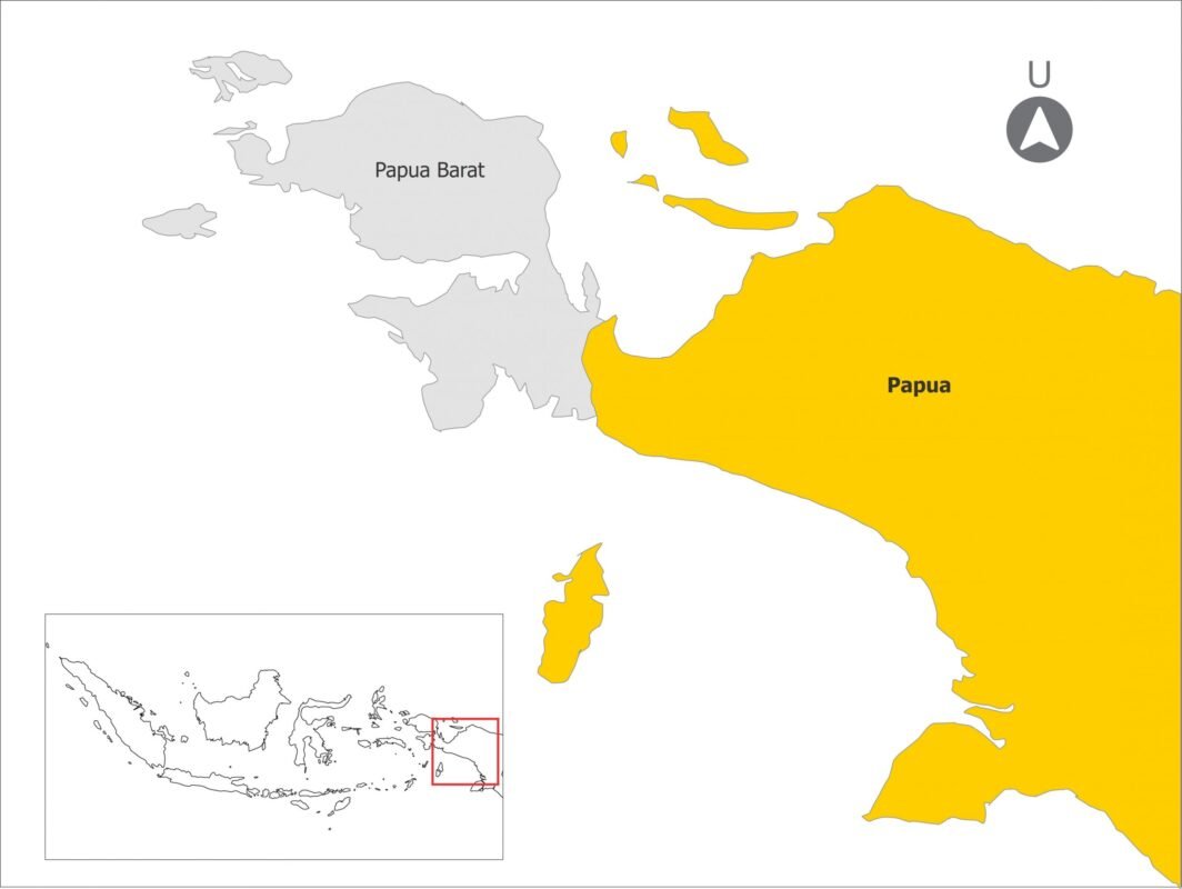 ekspedisi jakarta papua